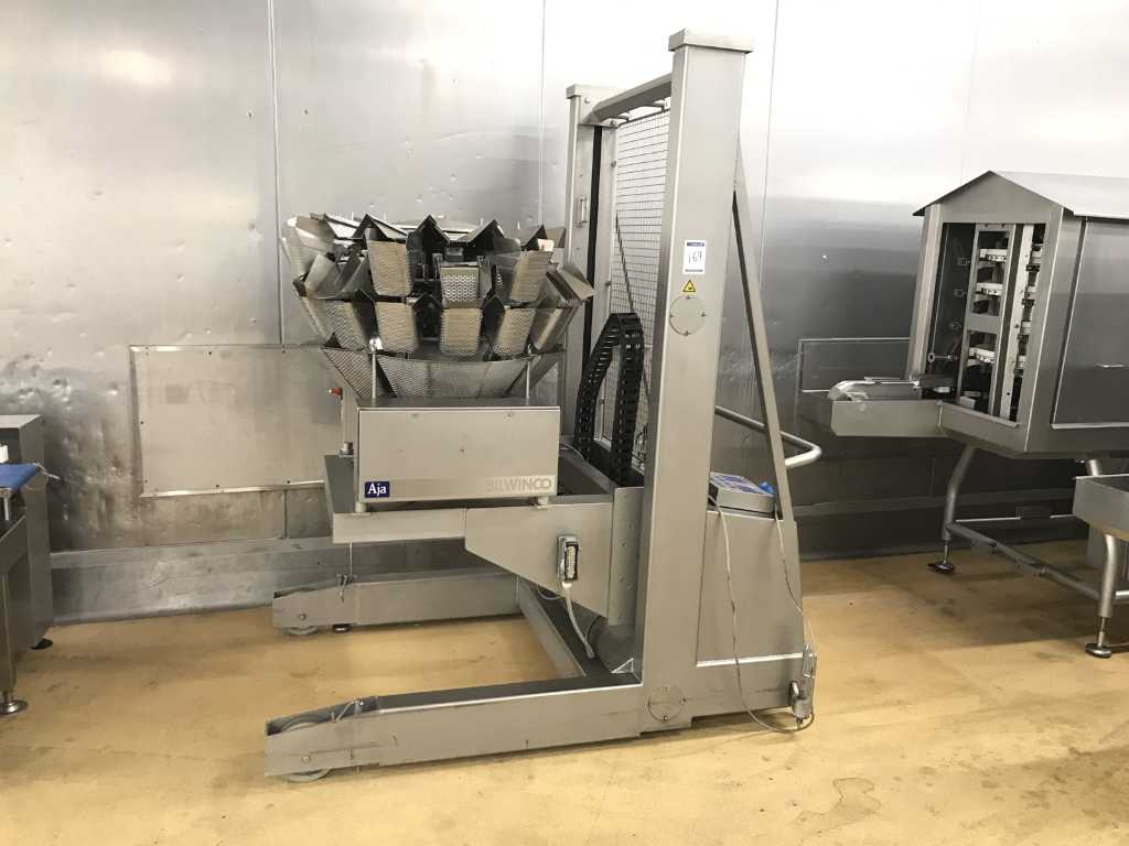 Bilwinco DWII Multihead weigher and packing machine