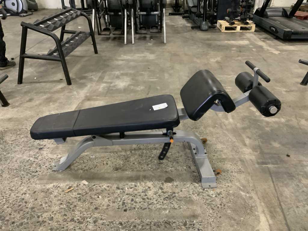 precor icarian adjustable bench Multi-gym