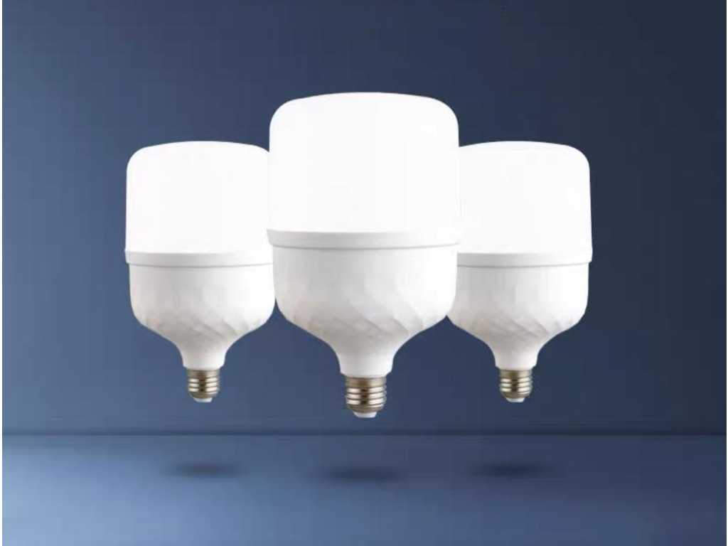 40 x Lampadina LED - 48W - E27 - 6500K (luce diurna)