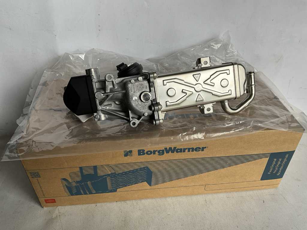 Borg Warner 710861D AGR-Modul (2x)