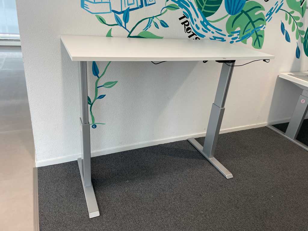 Flex - Sit - Stand Desk