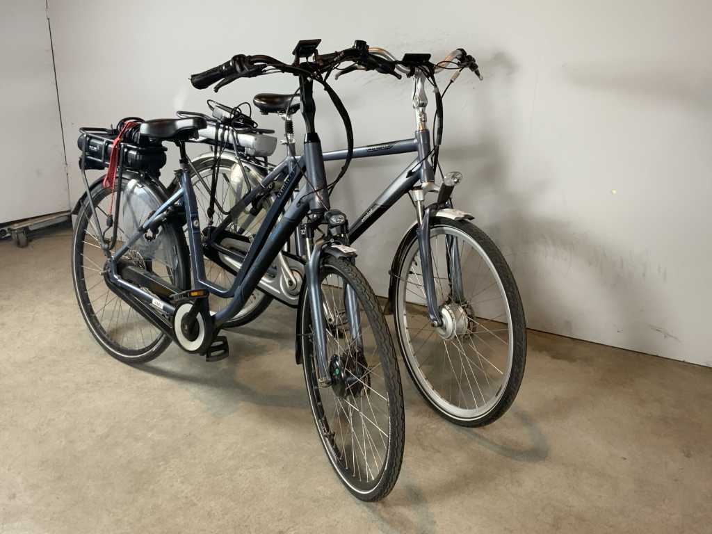 Amslod Hamilton MTX/Highland Elektrische fiets (2x)