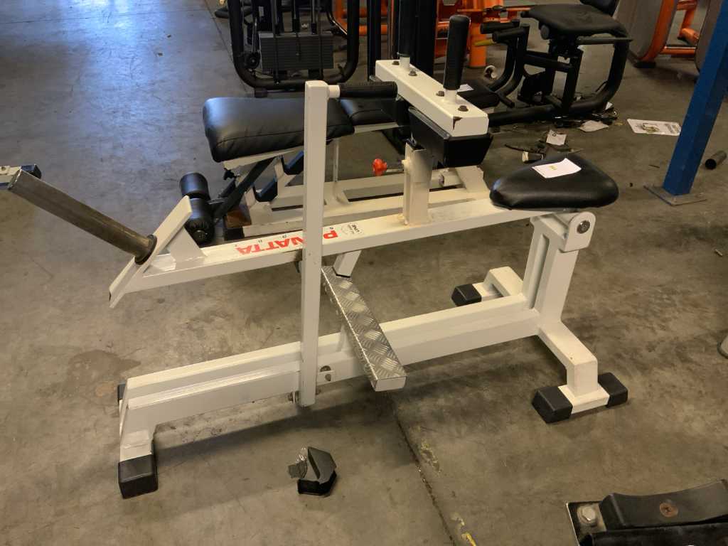 panatta calf machine plate loaded Multi-gym