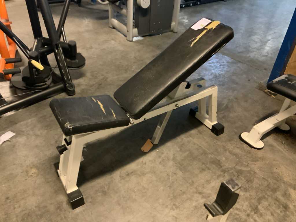 technogym adjustable bench isotonic Multi-gym