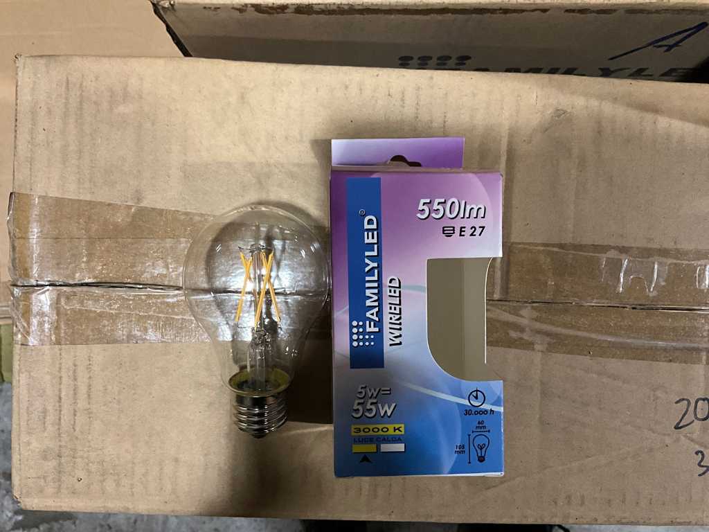 Ampoule LED Family - FLA6053W - 3000K 550LM E27 (552x)