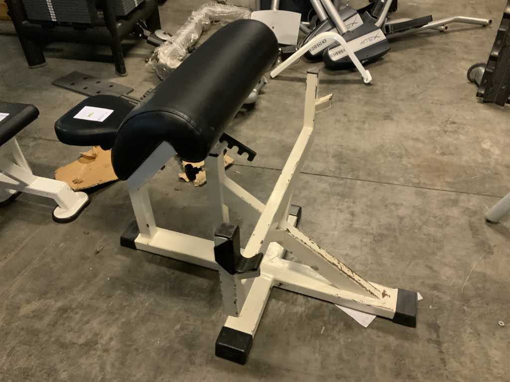 panatta biceps curl bench multi-gym
