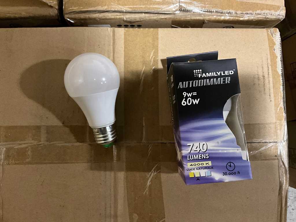 Ampoule LED familiale - FL-DIMA6094 - 4000k 740LU E27 (192x)