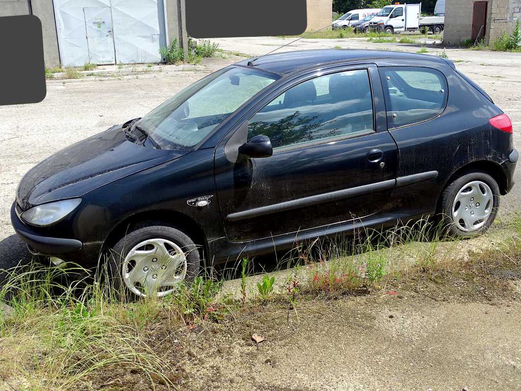 Peugeot 206 HDi 'Enfant Terrible' (base del progetto)