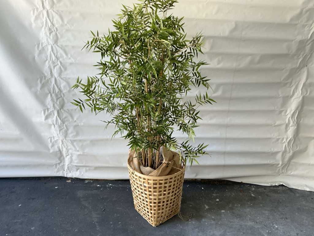 Plant met pot (4x)