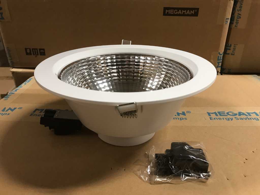 LED spot 25W (24x)