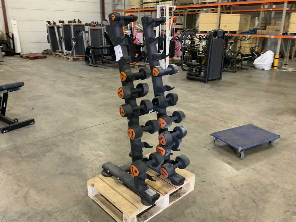 ziva dumbbells and rack not complete Multi-gym