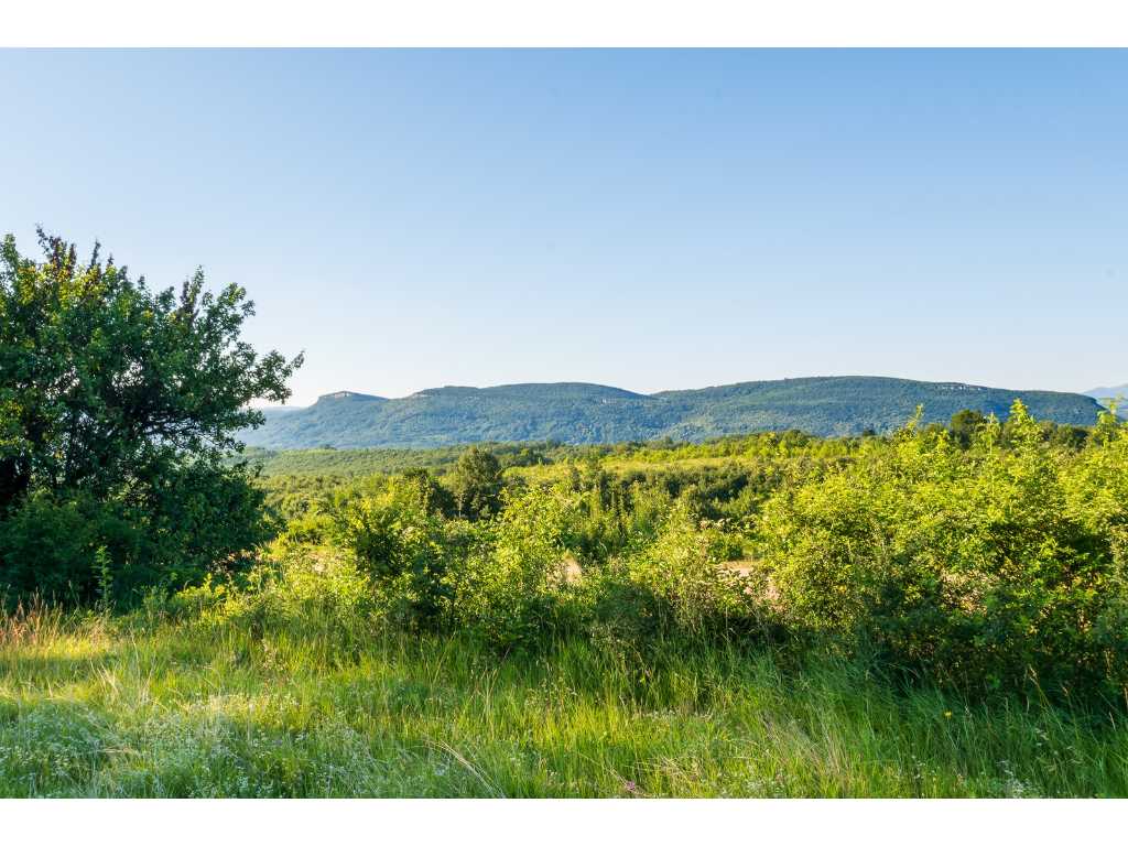 8,398 m2 of forest land