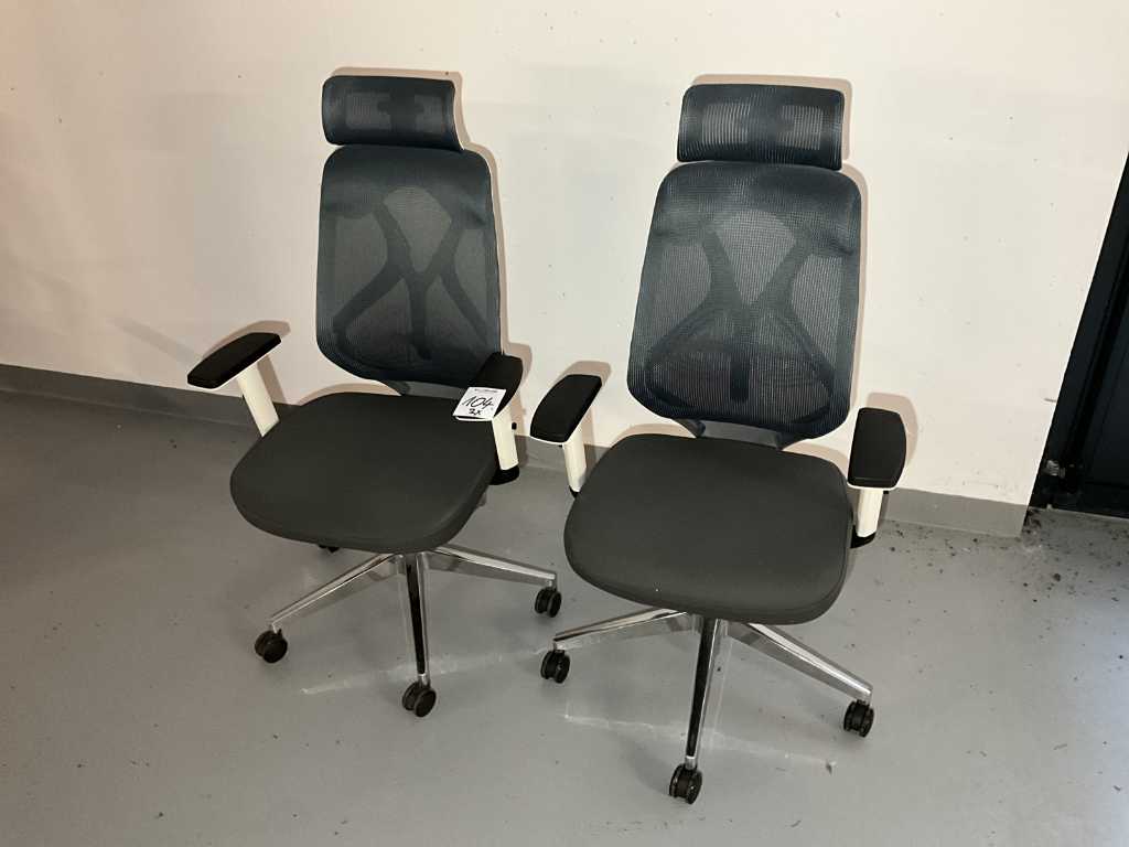 Office chairs (2x)