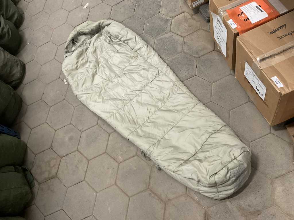 Sleeping bag