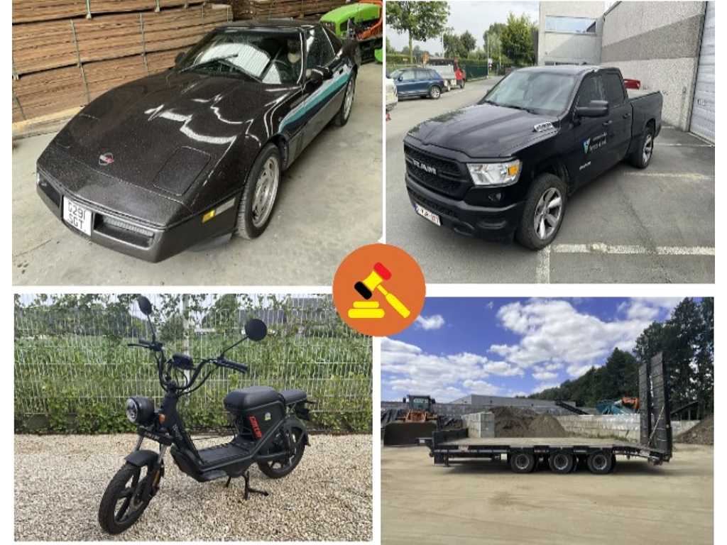 Weekly auction: Commercial vehicles, trucks, trailers and trailers